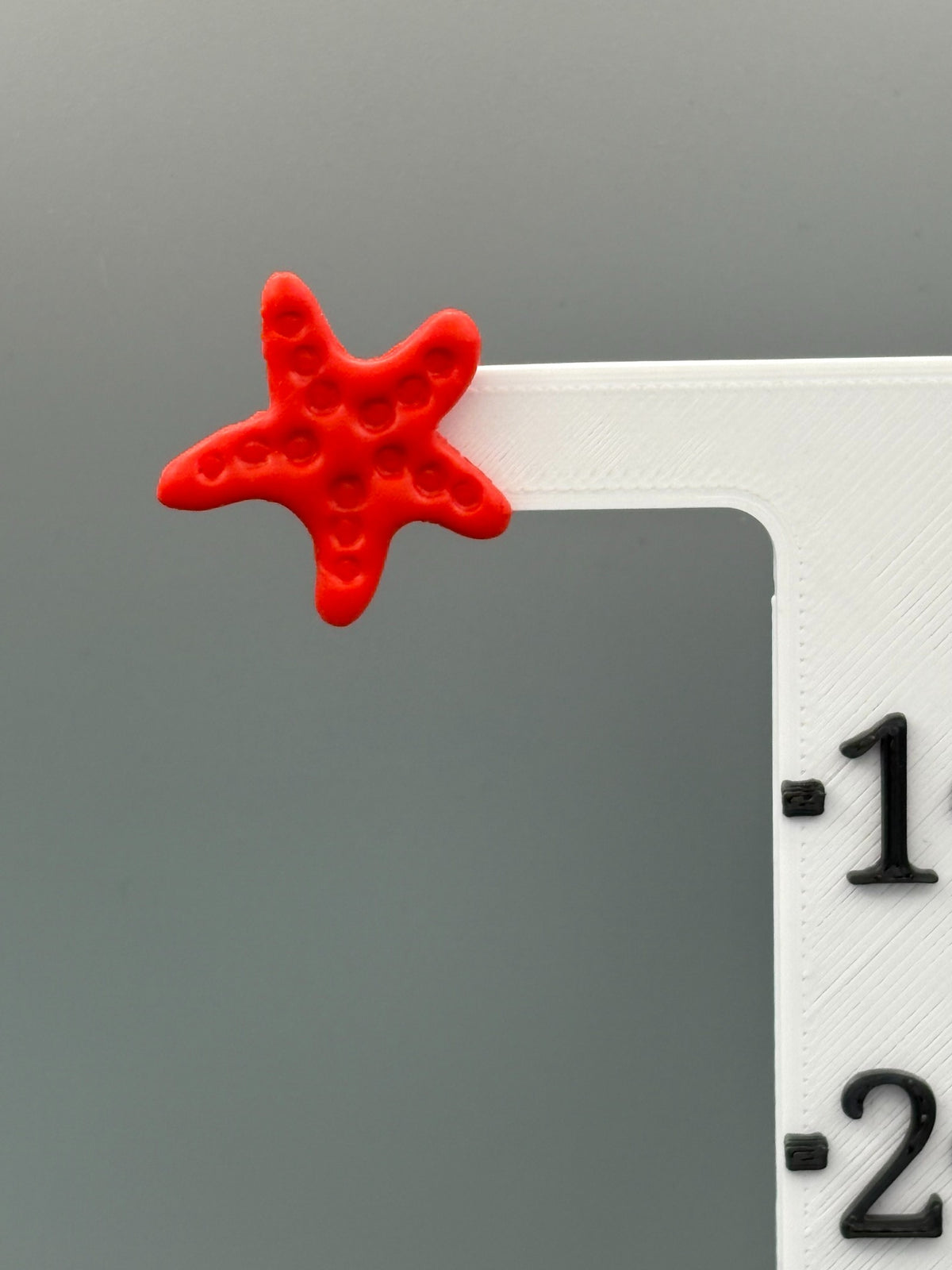 Red Starfish Stud Earrings - handcrafted polymer clay earrings by Lakeside Clay