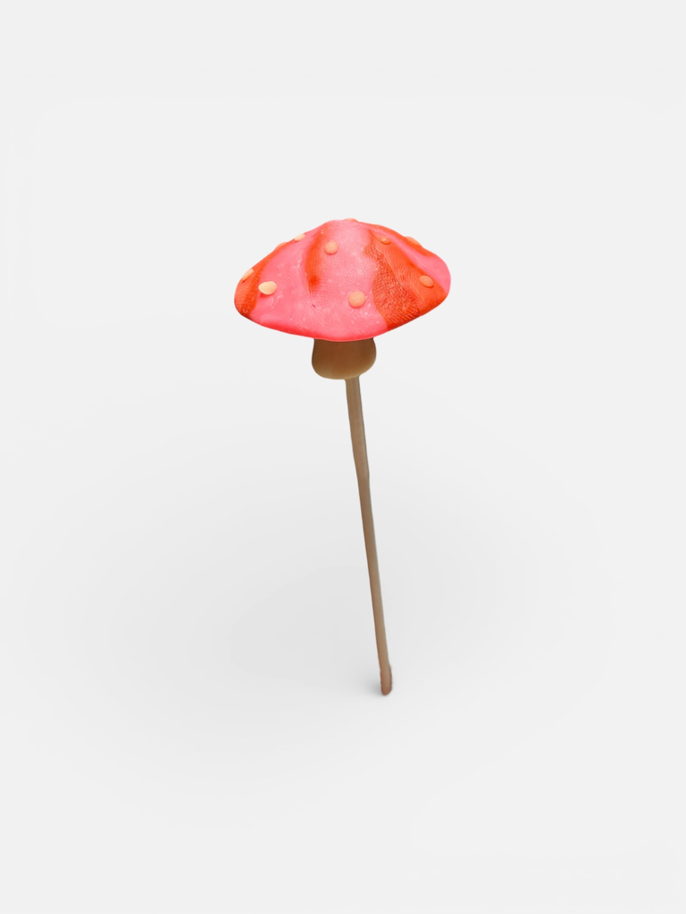 [P-38] Pink & Red Mushroom Plant Stake