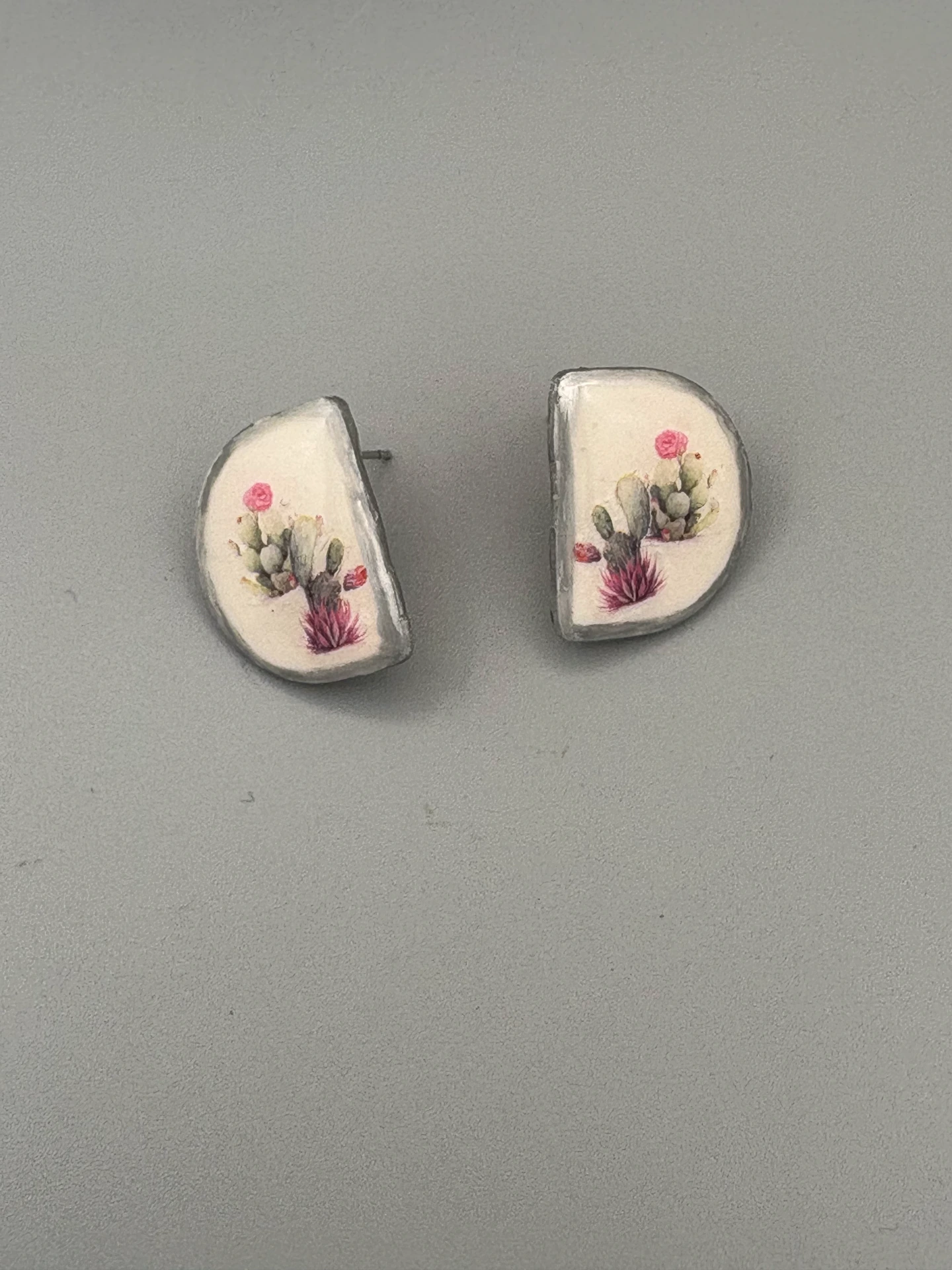 [32-14] Cactus Garden